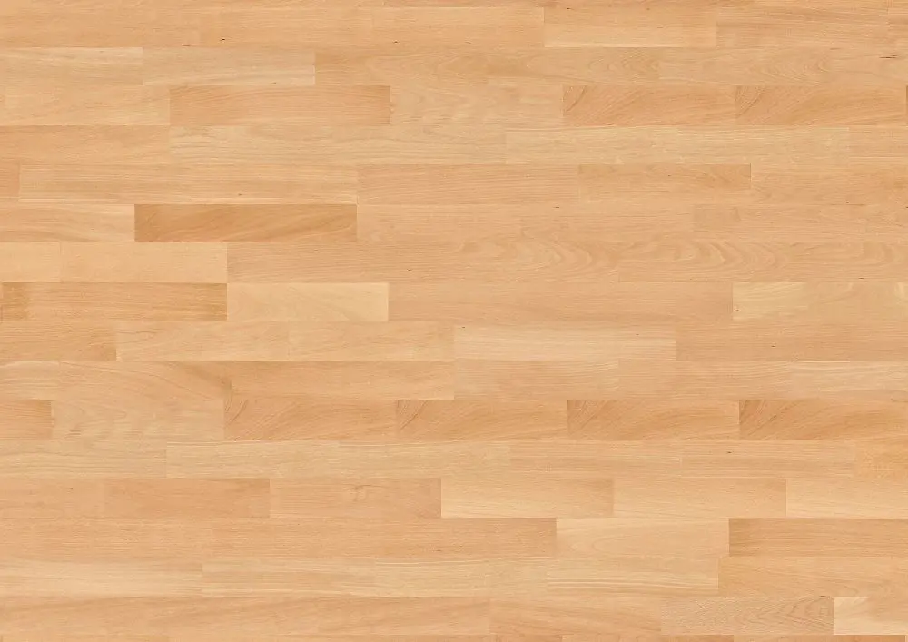 Arenaflex Elevation Olympia