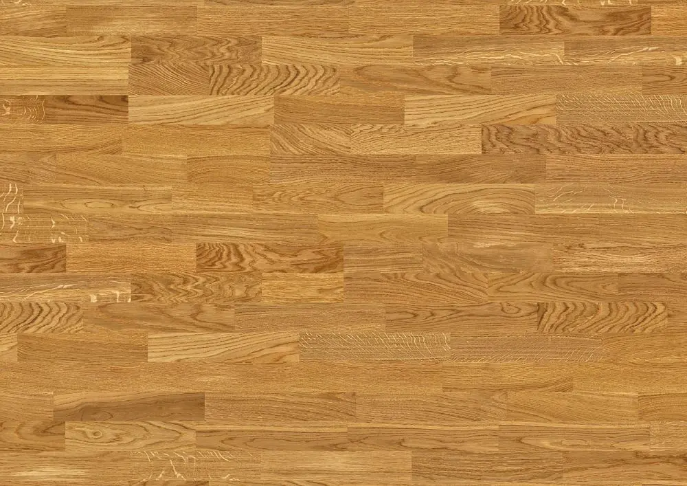 Arenaflex Elevation Olympia